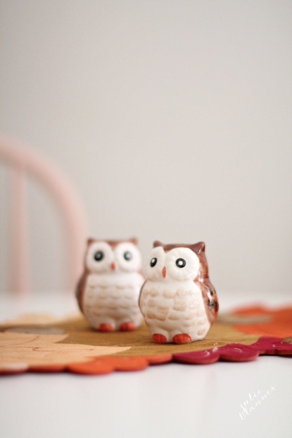 Thanksgiving kids' table - easy & beautiful table setting for the holidays. #kidstable #thanksgiving kids' dinning table with owl salt and pepper shakers