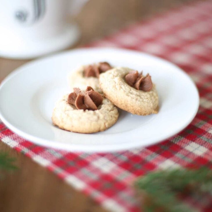 Pecan Thumbprint Cookie recipe with chocolate butter icing - melt in your mouth amazing!