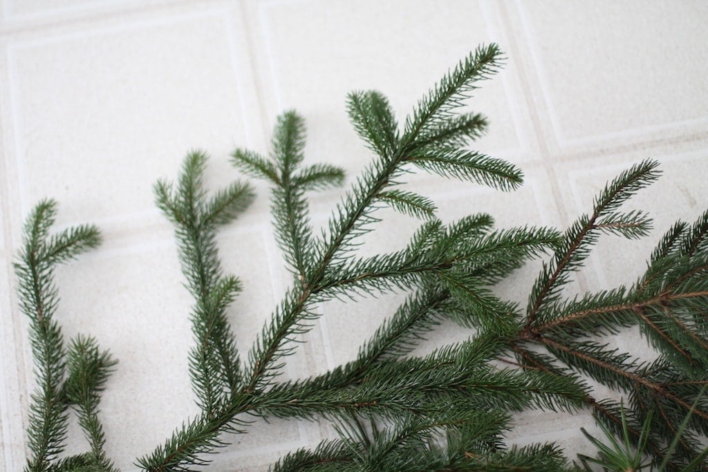 A branch of holiday greenery laid out on a white floor.