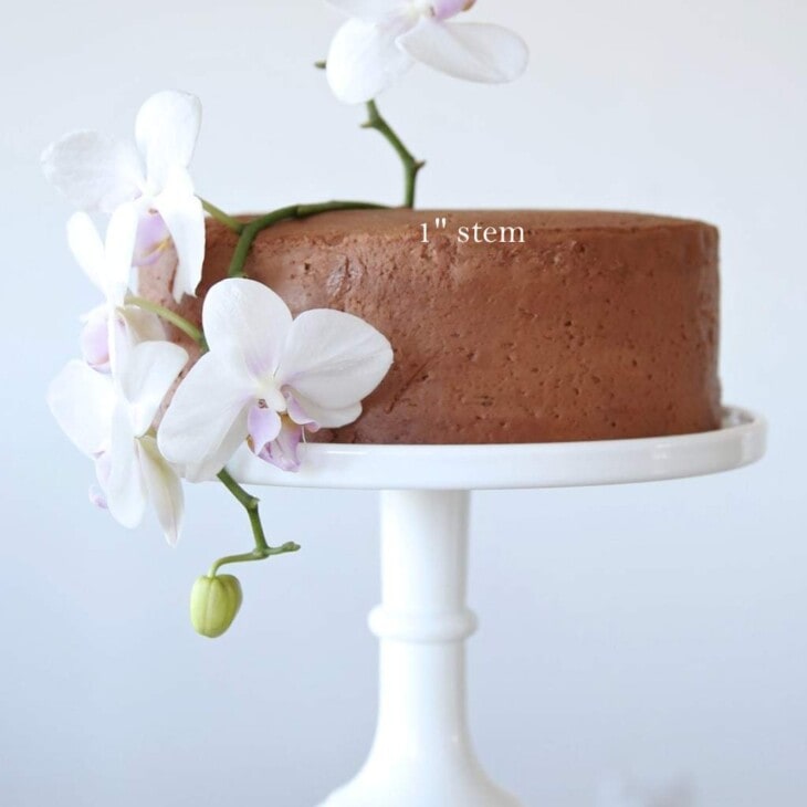 Create your own beautiful birthday cake