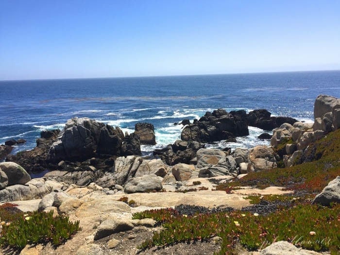 What do do in Carmel California | 17 mile drive map & details 
