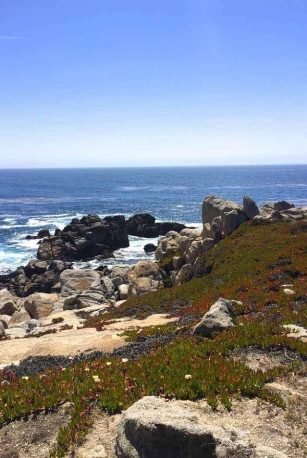 What do do in Carmel California | 17 mile drive map & details