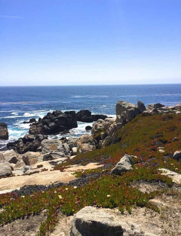 What do do in Carmel California | 17 mile drive map & details