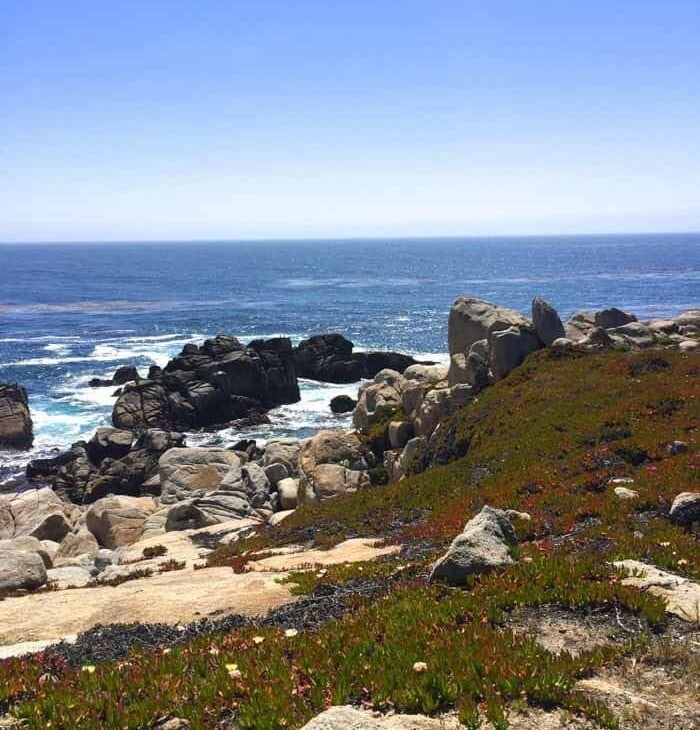 What do do in Carmel California | 17 mile drive map & details