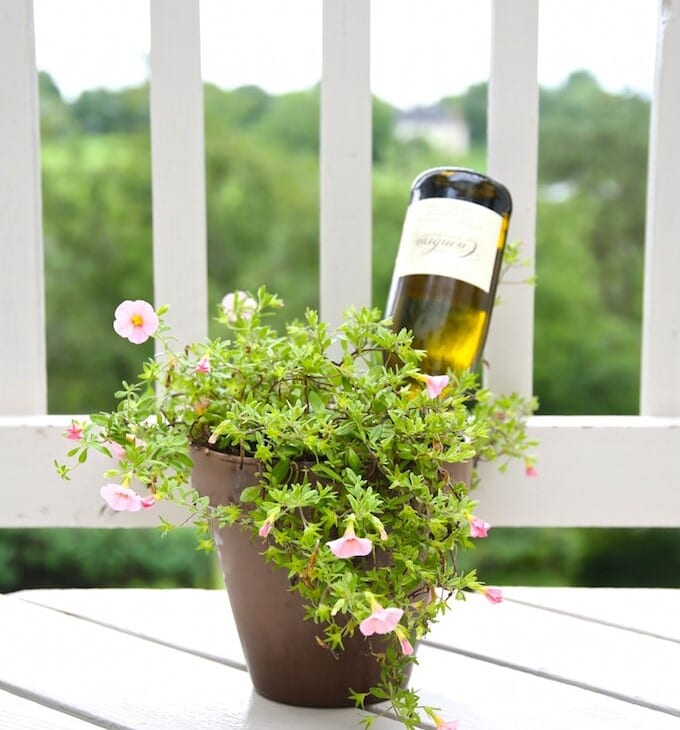 How to make a self watering system for your plants with a bottle