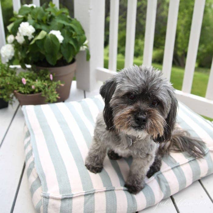 Even a dog pillow is part of the decor so that even pets can enjoy outdoor living