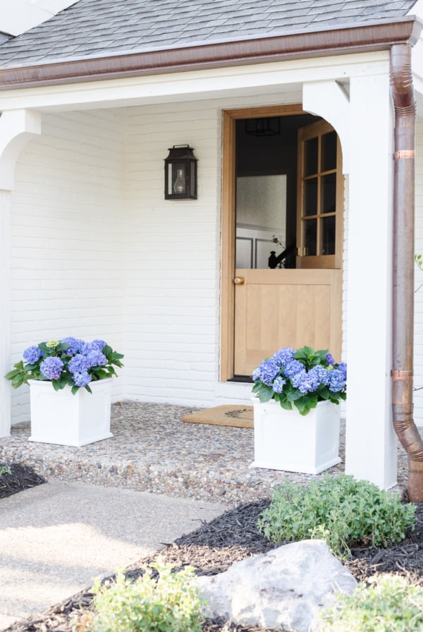 A white front porch planter with blue hydrangea on a small covered front porch.