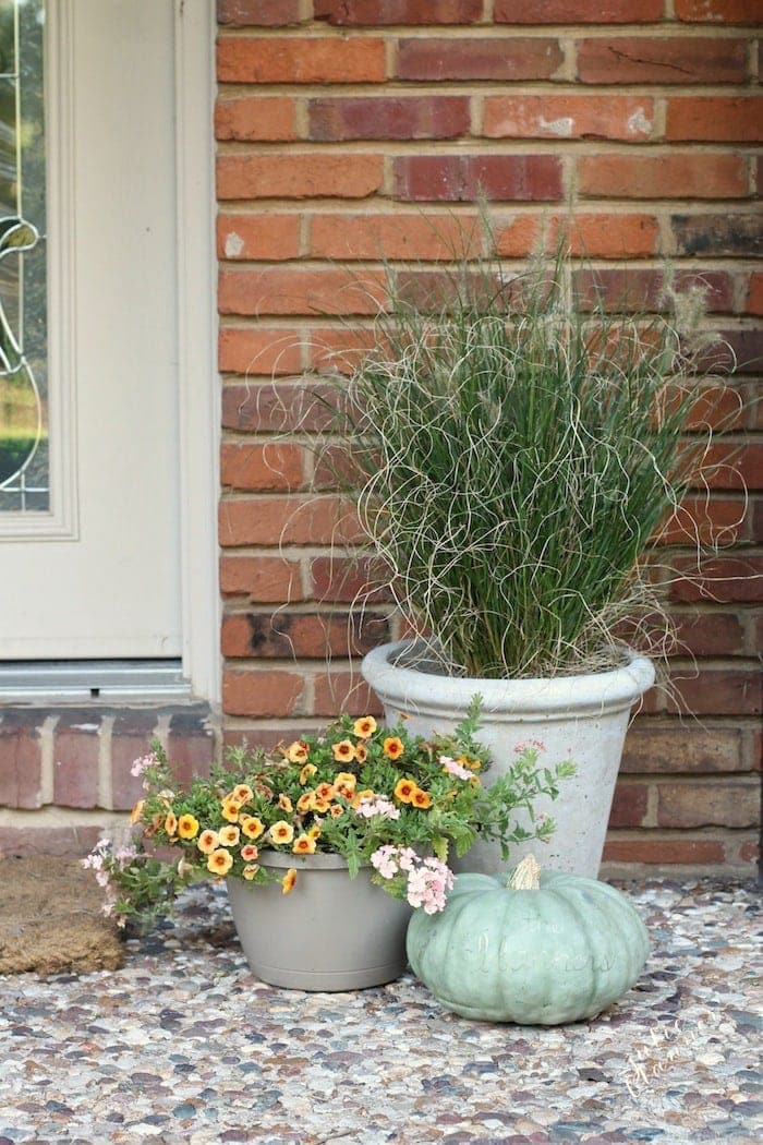 A simple planter and a pumpkin is a budget friendly fall outdoor decorating idea