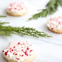 frosted peppermint cookies on marble countertop with holly leaves