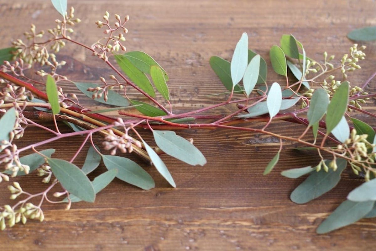 Eucalyptus leaves and a Christmas candle centerpiece on a wooden table.