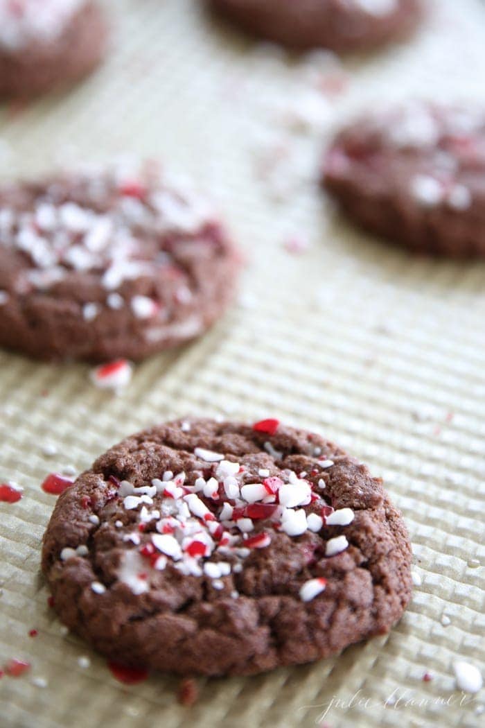 Close up of a chocolate peppermint cookie