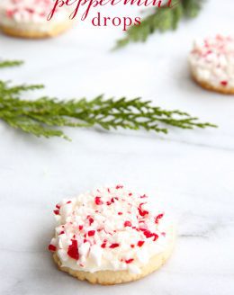 Melt in your mouth sugar cookie recipe with creamy peppermint icing