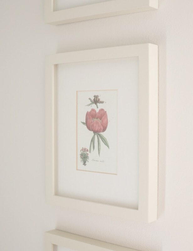 Botanical print in white frame