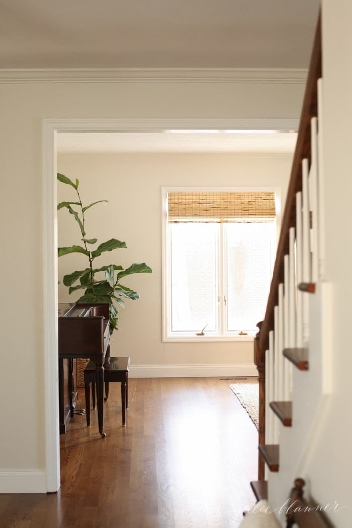 a neutral family room