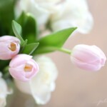 A fresh arrangement of pink tulips and white roses in a clear glass vase.