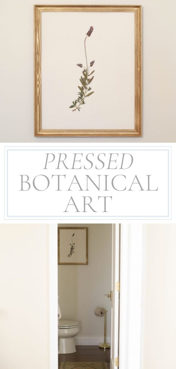 There is a Pressed Botanical Art in a gold frame in a bathroom.