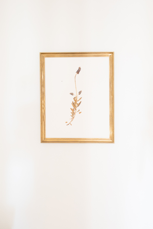 DIY Pressed Botanical Art Julie Blanner