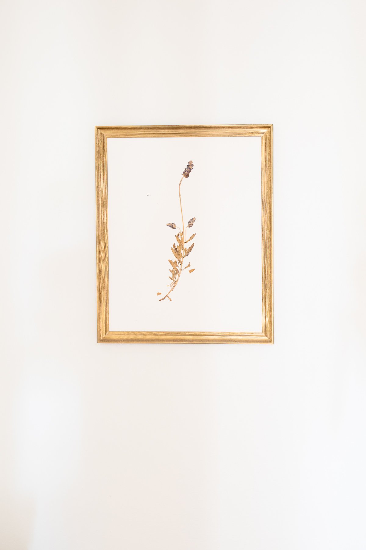 A gold framed wall art print of a flower.