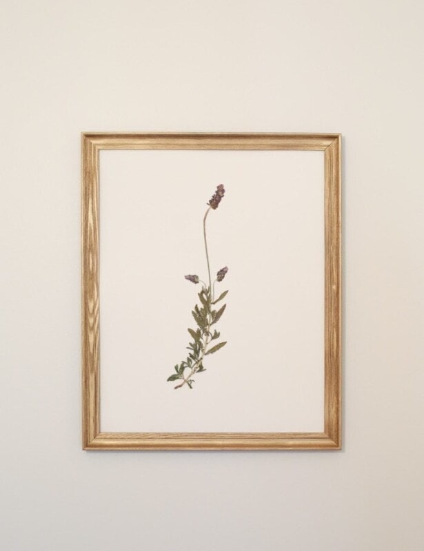 Beautiful DIY pressed botanical wall art