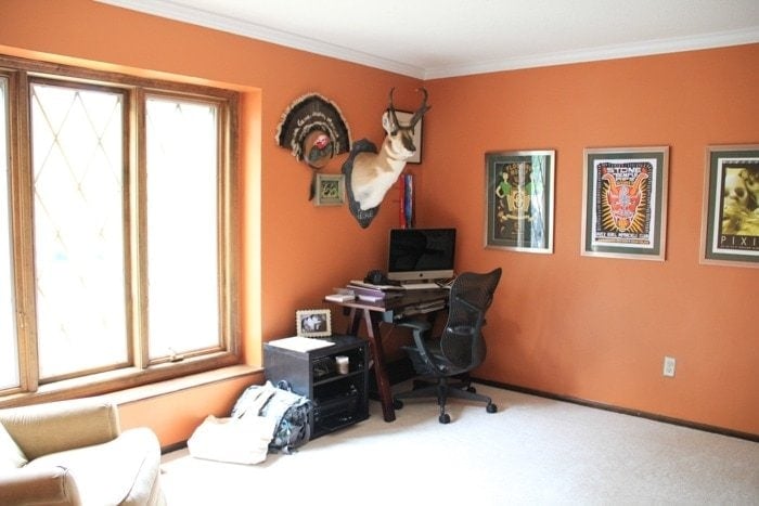 A room painted orange with a deer on the wall