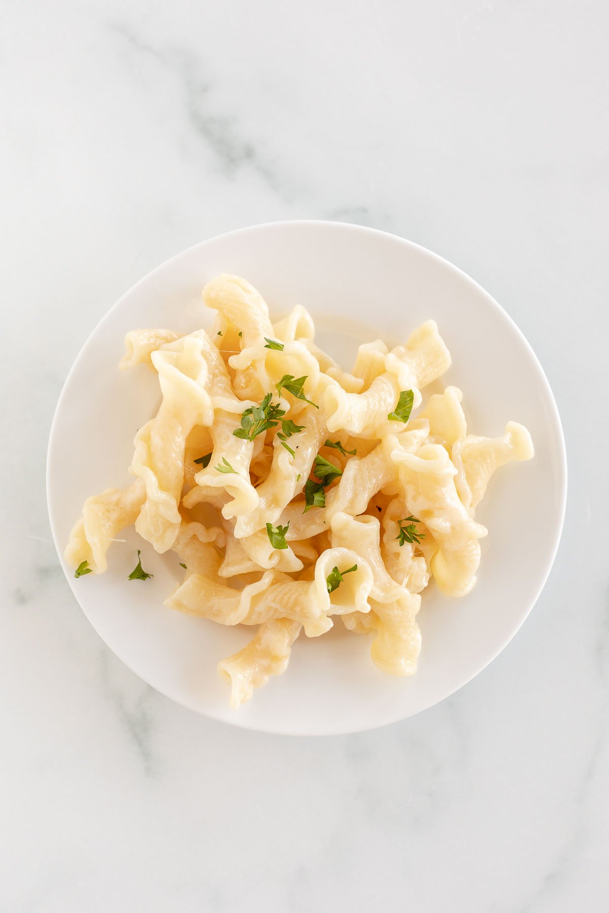 fontina cheese pasta on white plate
