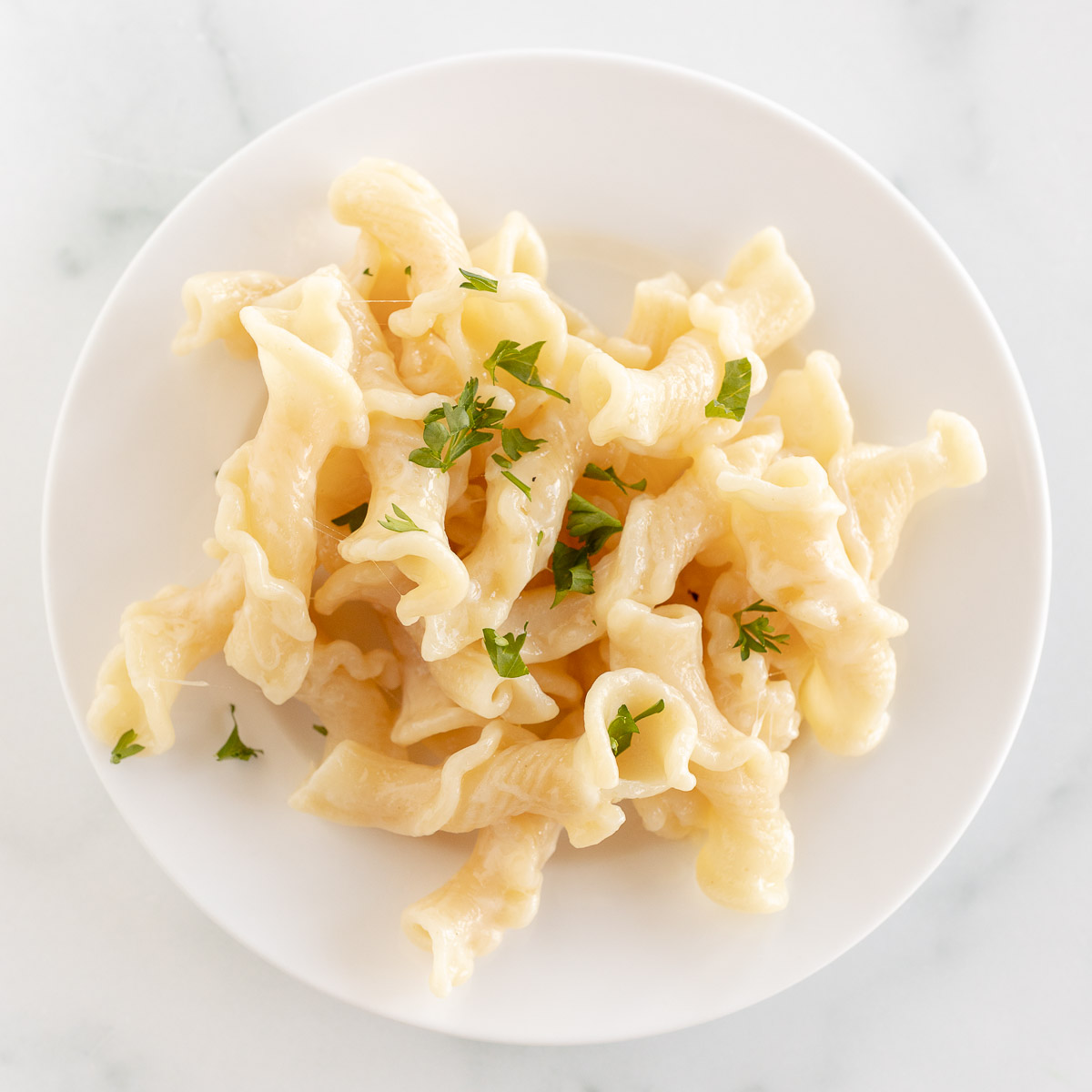 fontina cheese pasta on plate