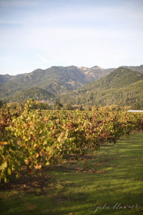 tipsfornapavalleywinery Julie Blanner