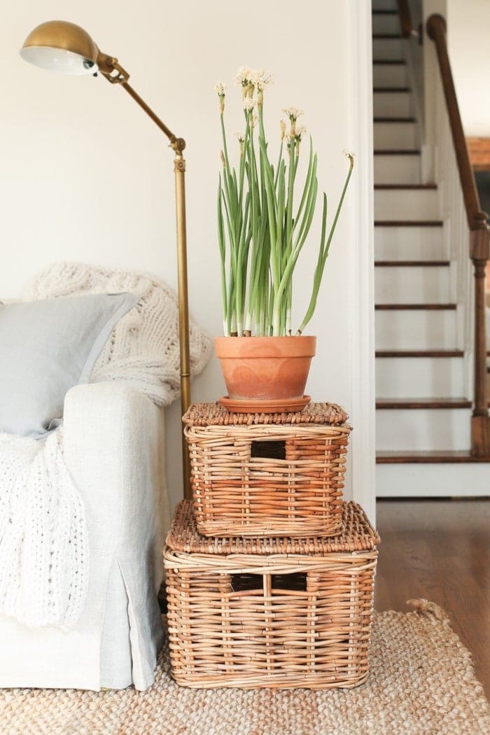 Potted paperwhites on a stack of baskets in a white living room.