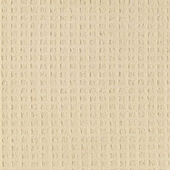 low profile carpet that looks natural