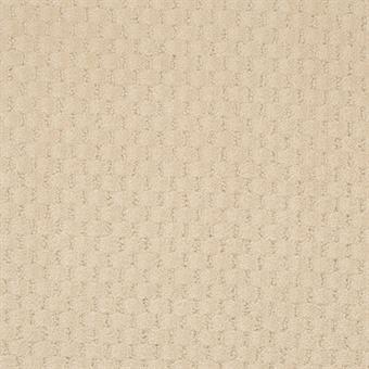 low profile carpet that looks natural