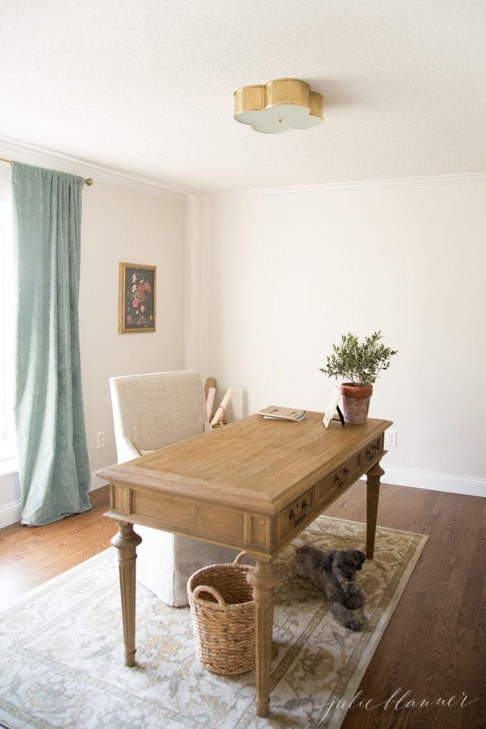 a home office with cream walls painted in SW Zurich White, with a dog hiding under the desk