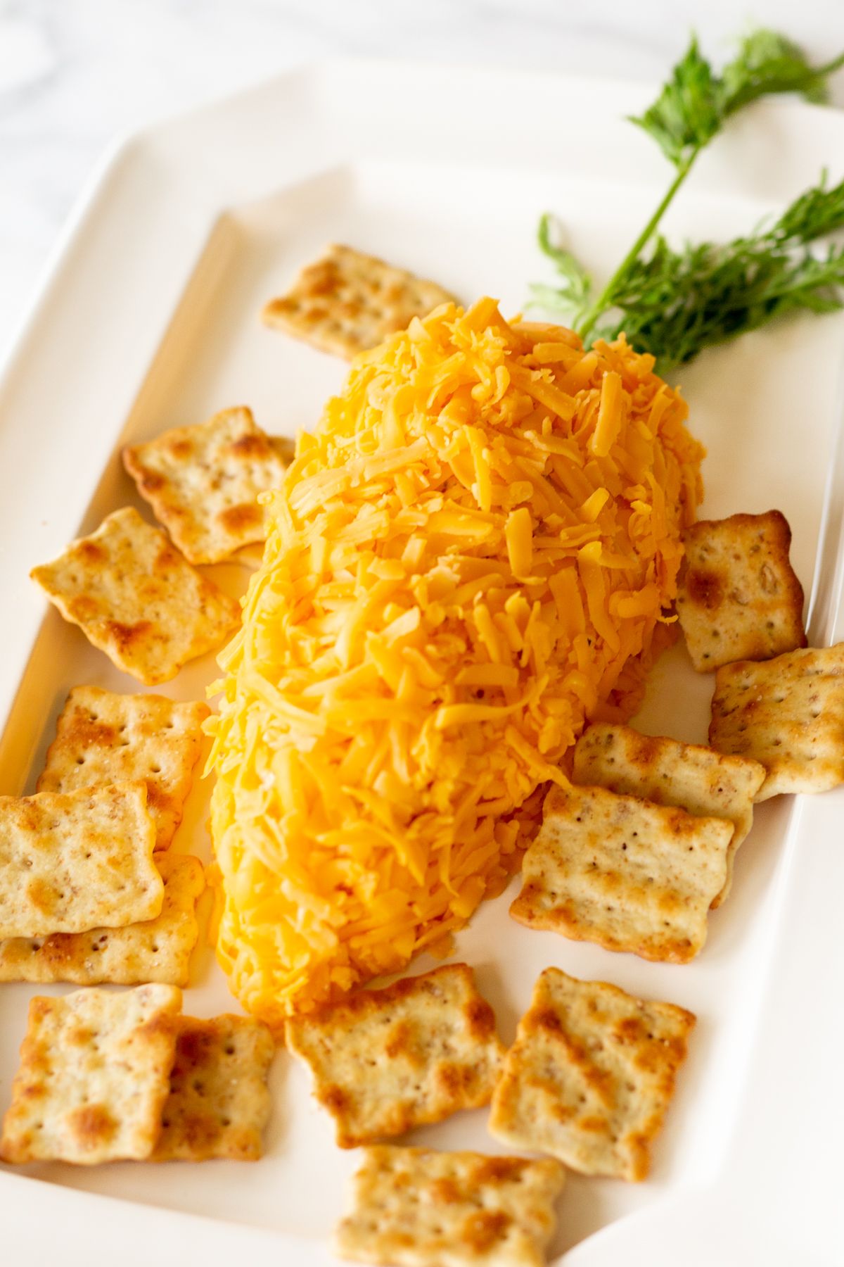A carrot shaped cheese ball on a white plate, surrounded by crackers. 