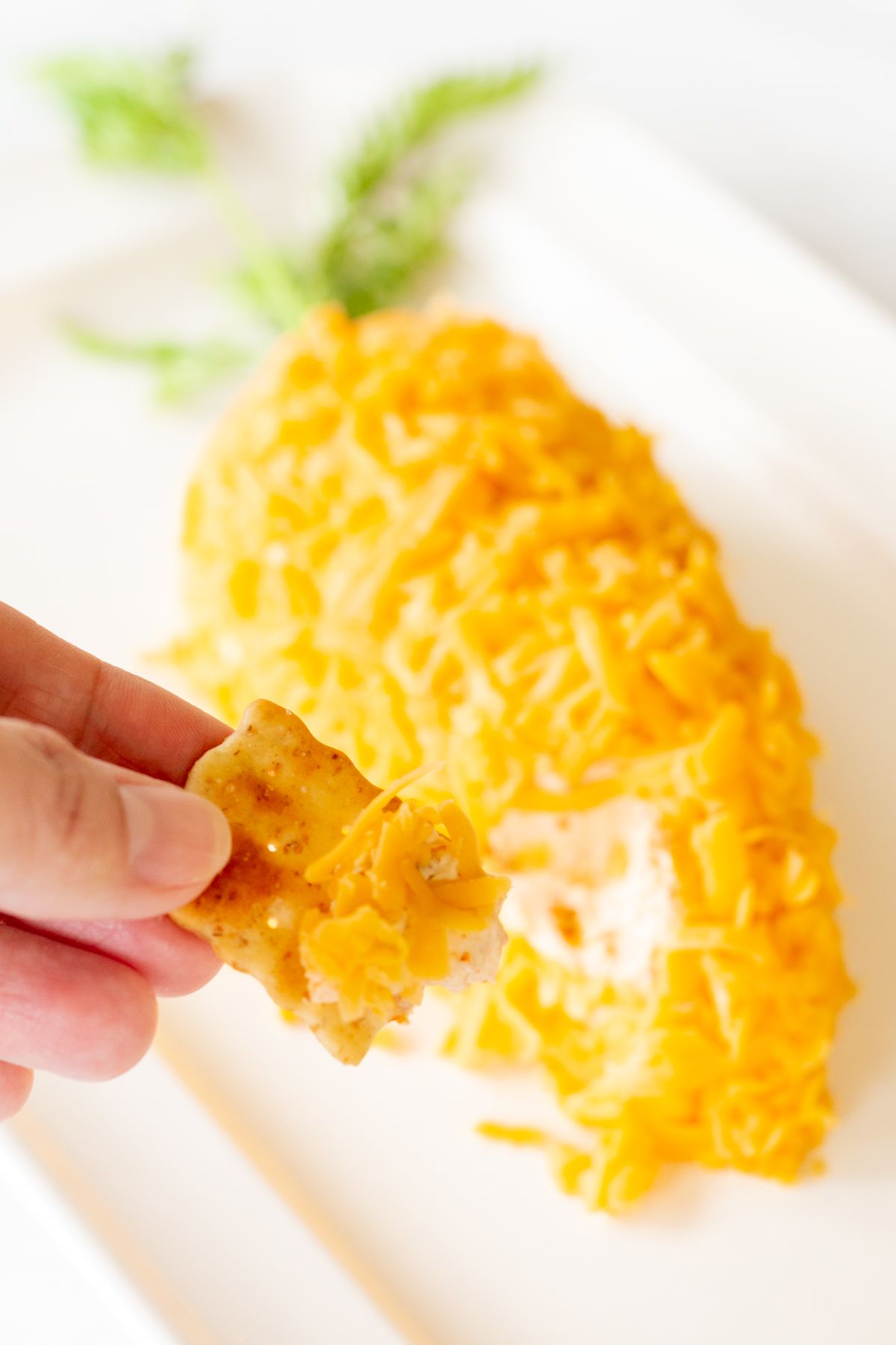 A carrot cheese ball on a white platter. A hand has removed a serving onto a cracker in the foreground.