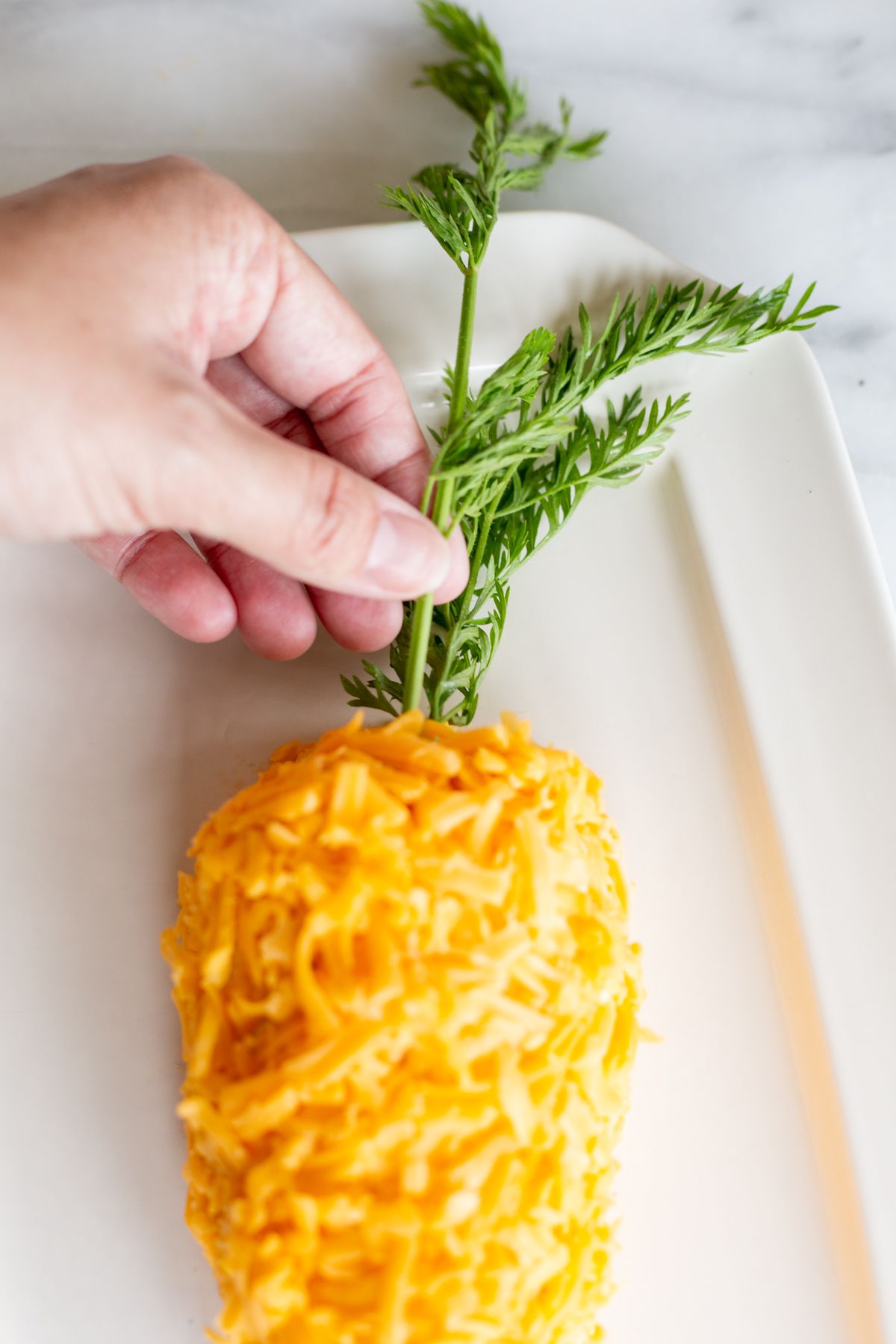 A carrot cheese ball on a white platter. A hand is placing the green stem of parsley.