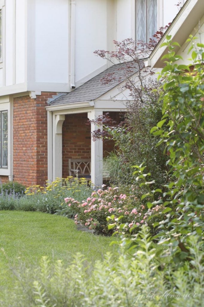 a cottage garden filled with catmint, grasses, russian sage and yarrow