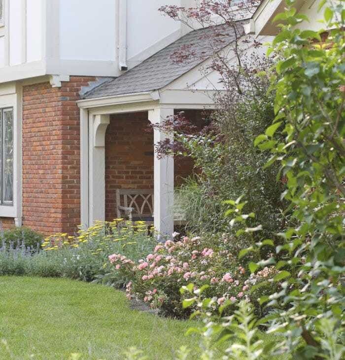 a cottage garden filled with catmint, grasses, russian sage and yarrow