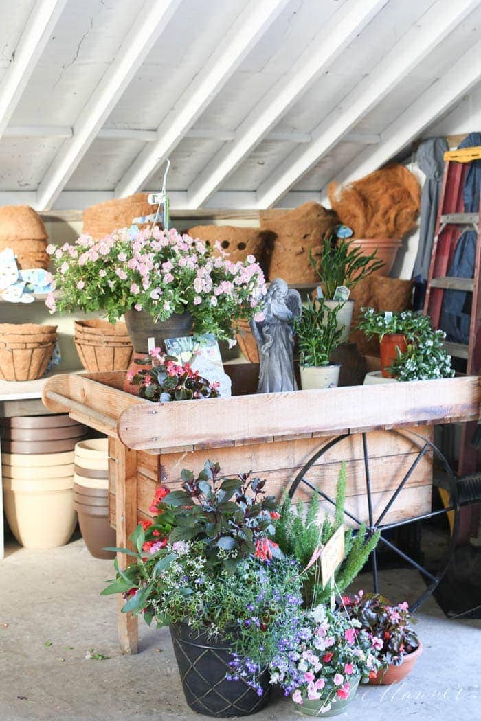 A garden center filled with blooming flower pots and perennials.