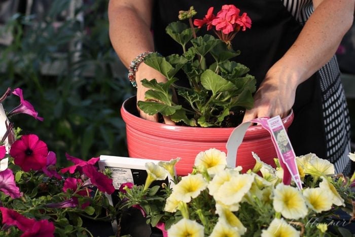 learn how to create a potted plant for your porch that will bloom all summer