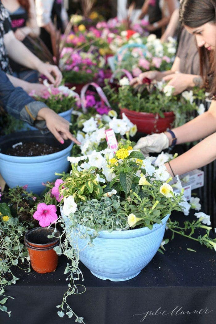 A group of people learning how to plant a garden container with potted annuals