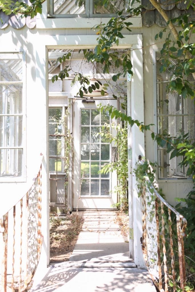 white rustic greenhouse with vines 