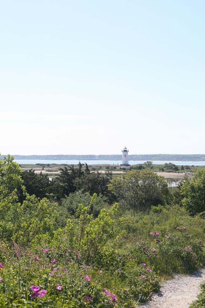 Edgartown Harbor Light - things to do on Martha's Vineyard