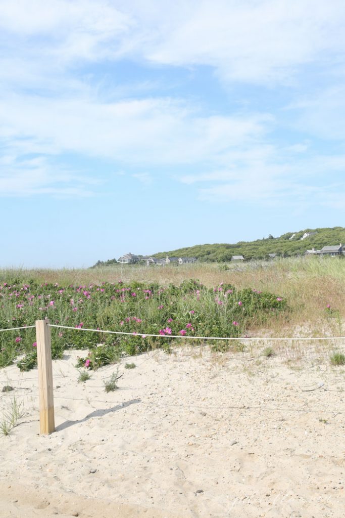 Things to Do in Martha’s Vineyard | Martha’s Vineyard Travel Tips