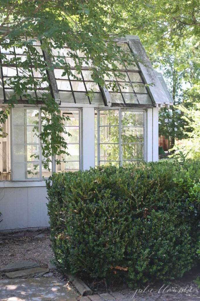 vintage greenhouse with greenery growing on top