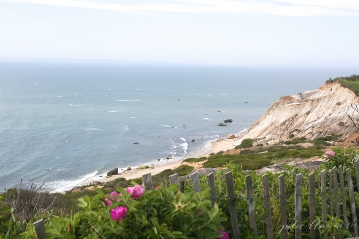 Martha's Vineyard The Cliffs