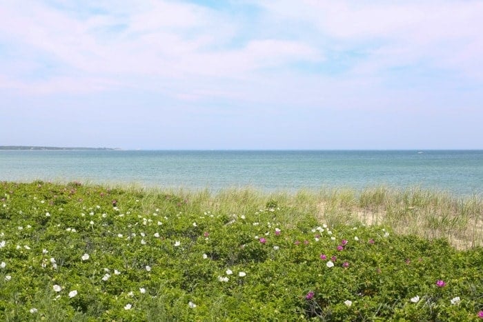 Martha's Vineyard shoreline