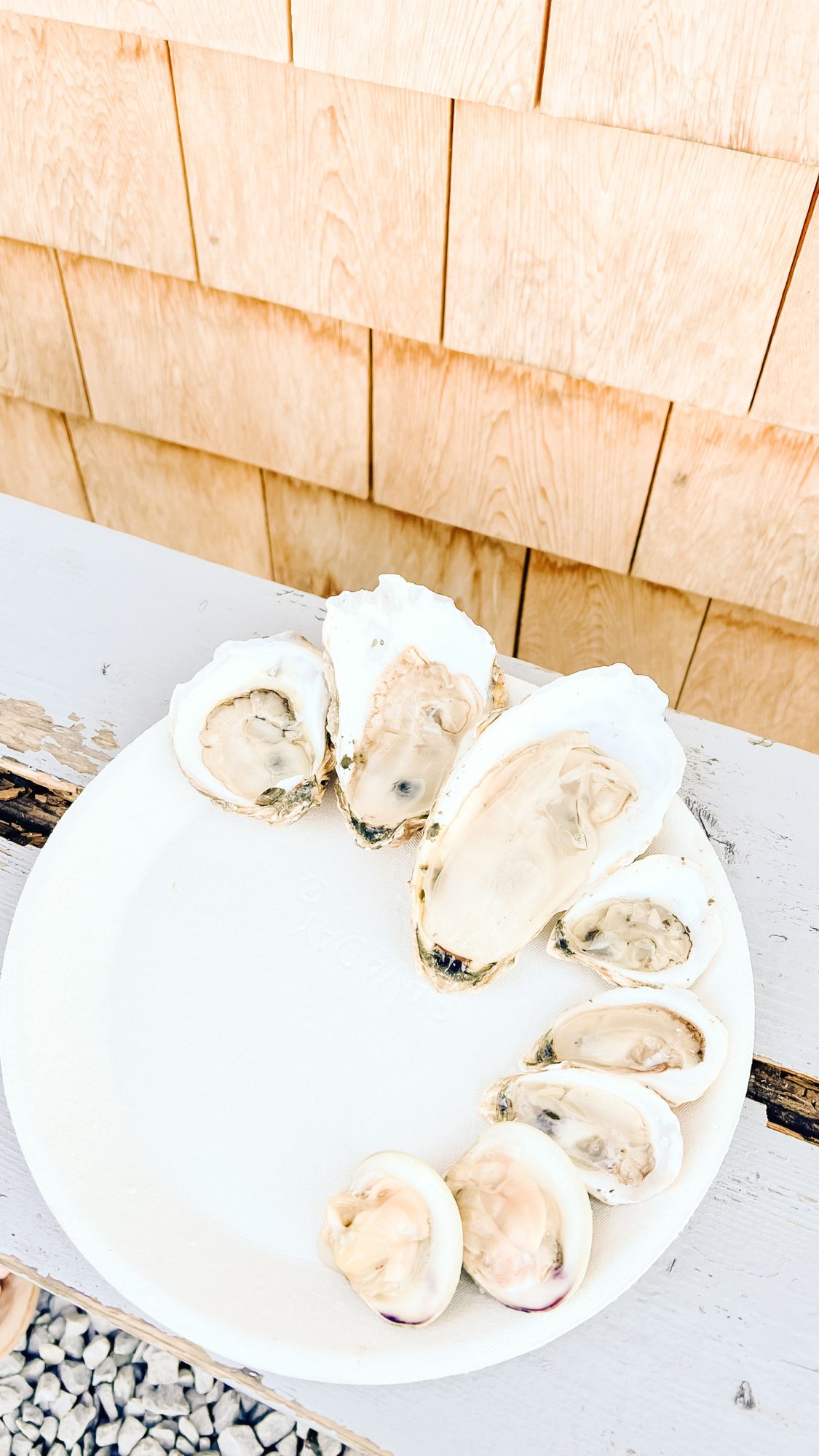 Raw oysters on a white place with a shingled building in the background