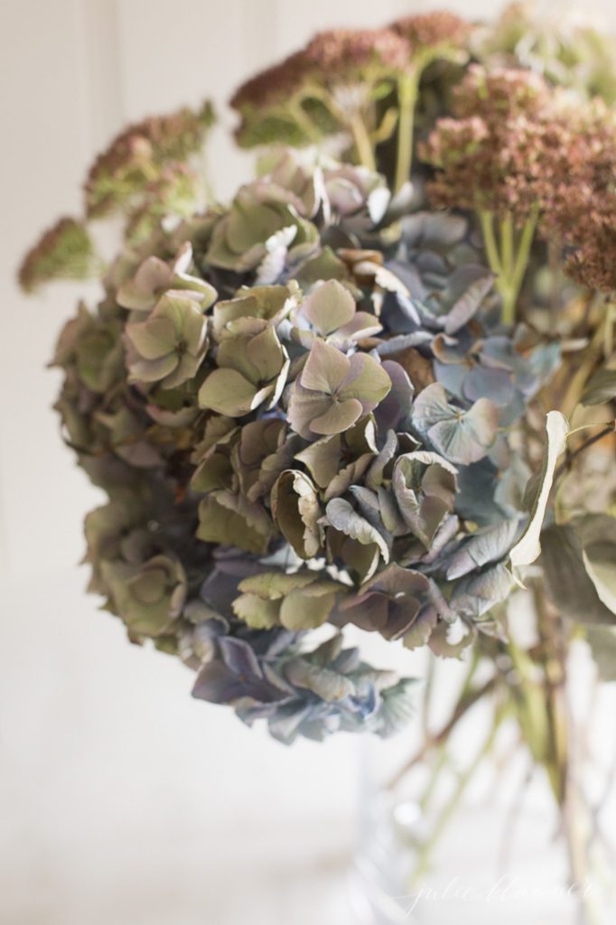 dried hydrangea - easy decorating ideas that last years 
