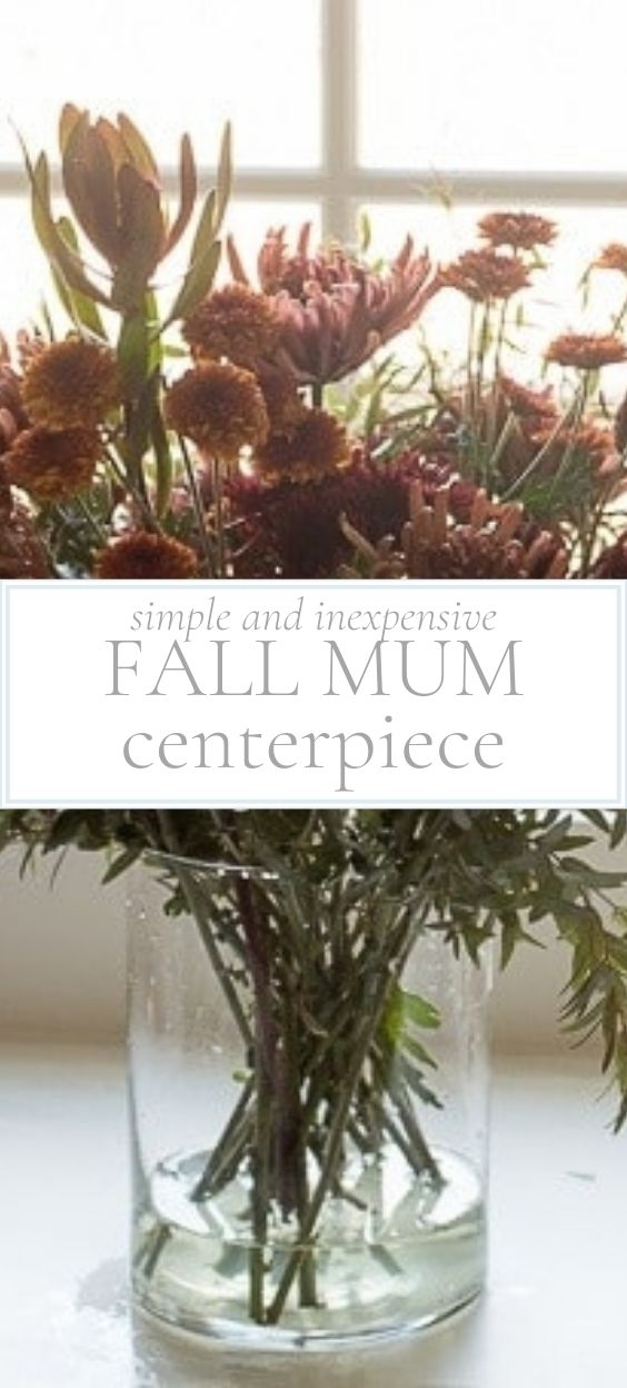 A tall clear, round, glass vase holding a bouquet of green-stemmed, purplish cut mum flowers
