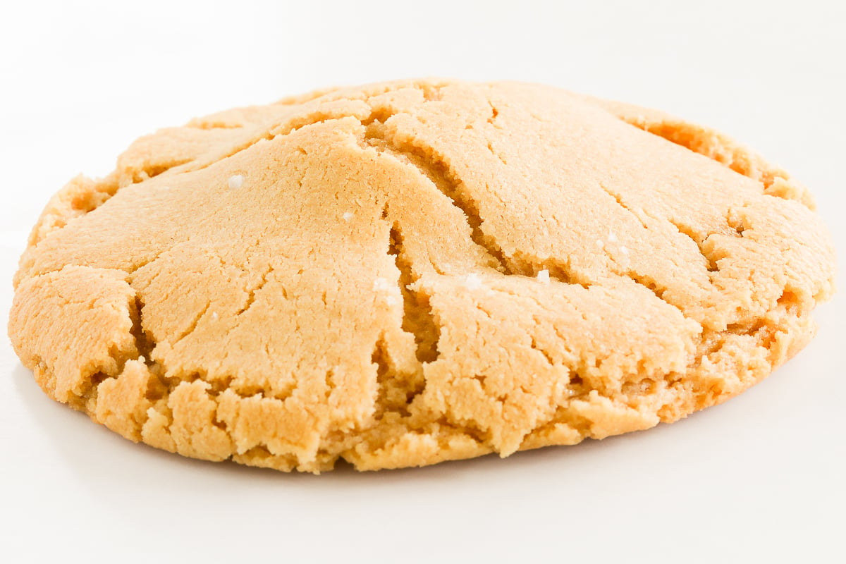 A stuffed peanut butter cookie on a white surface.