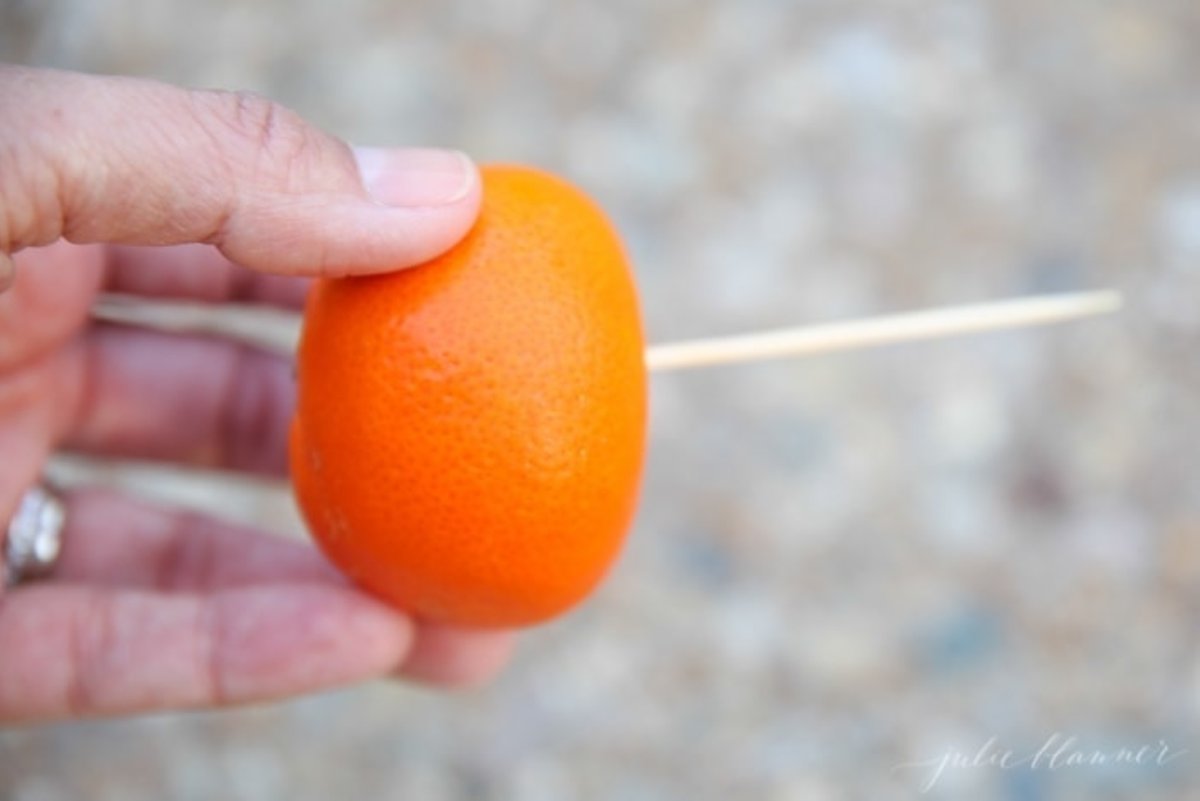 A clementine on a pick for a Christmas wreath decoration